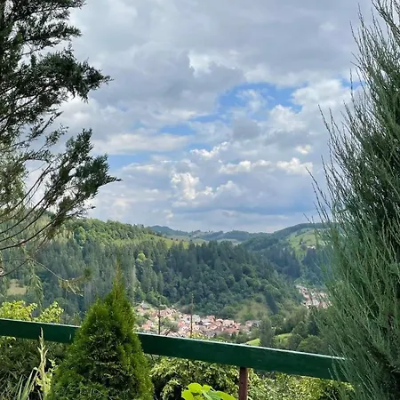 Casa Piscu Ioanei *