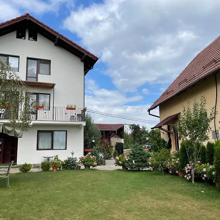 Casa Piscu Ioanei Lodge