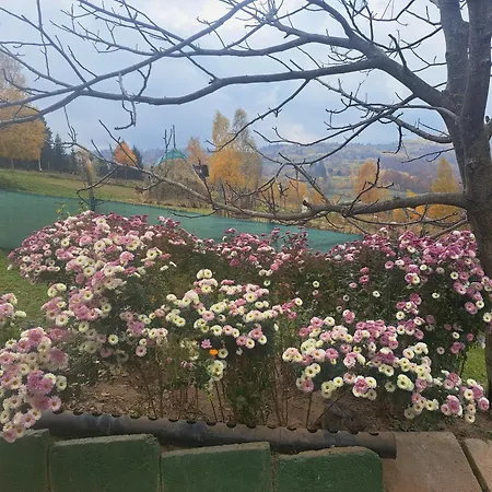 Lodge Casa Piscu Ioanei