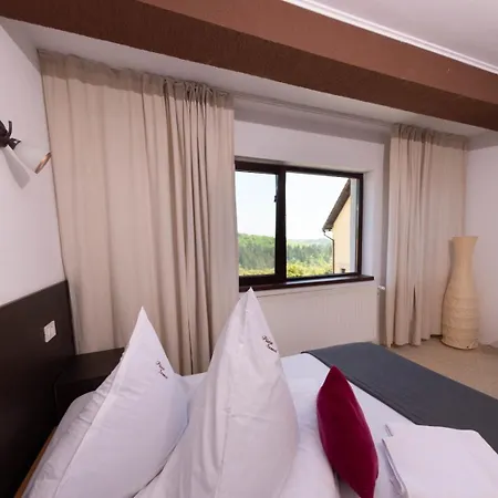 Casa Piscu Ioanei Lodge Brasov