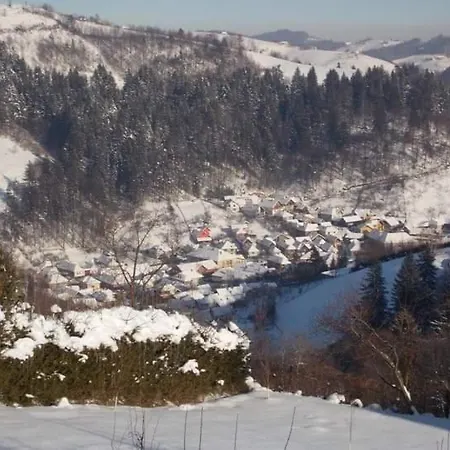 Casa Piscu Ioanei *