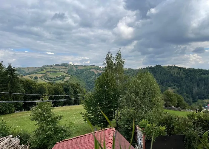 Casa Piscu Ioanei ロッジ *