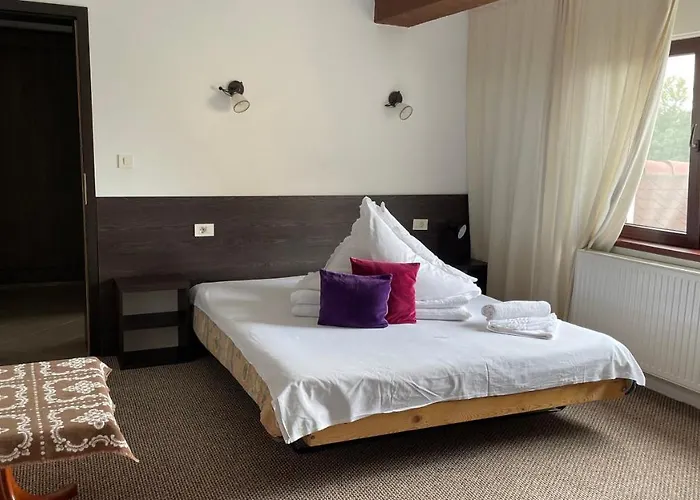 Casa Piscu Ioanei ロッジ