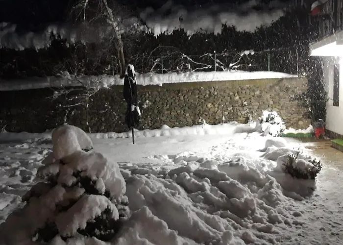 Casa Piscu Ioanei ロッジ *