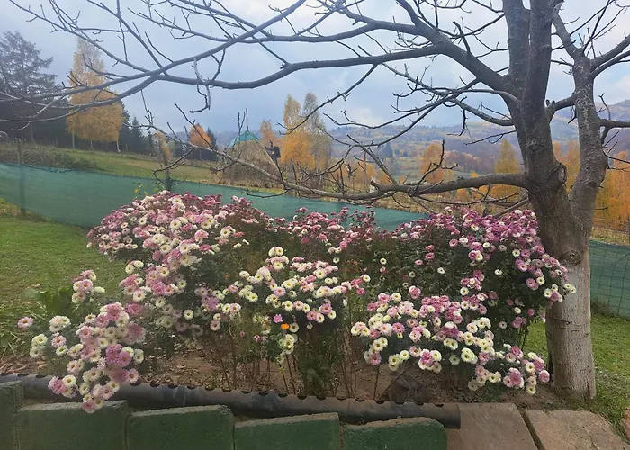 Lodge Casa Piscu Ioanei