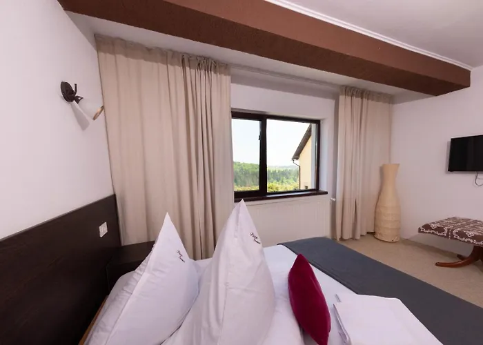 Casa Piscu Ioanei Lodge Brasov
