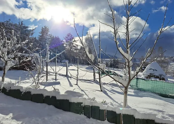 ロッジ Casa Piscu Ioanei