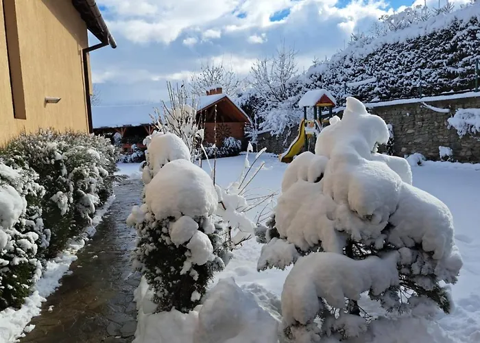 Casa Piscu Ioanei ロッジ *