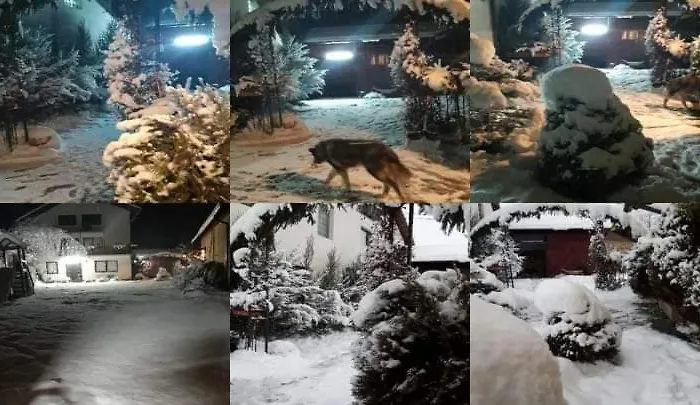 Lodge Casa Piscu Ioanei Brasov